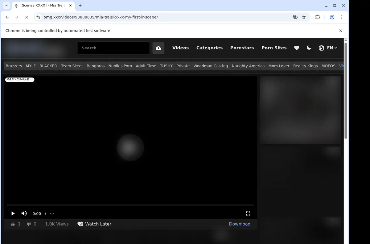 Omgxxx Video Downloader screenshot 2