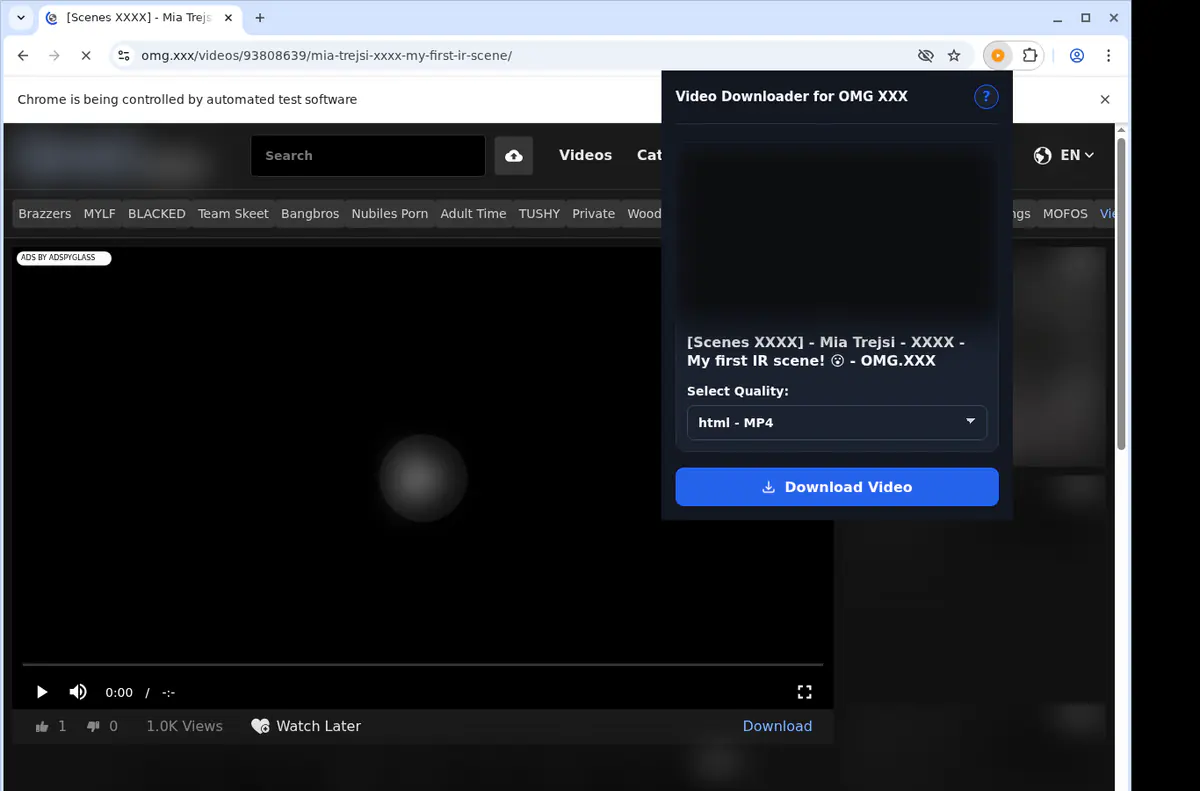 Omgxxx Video Downloader screenshot 3
